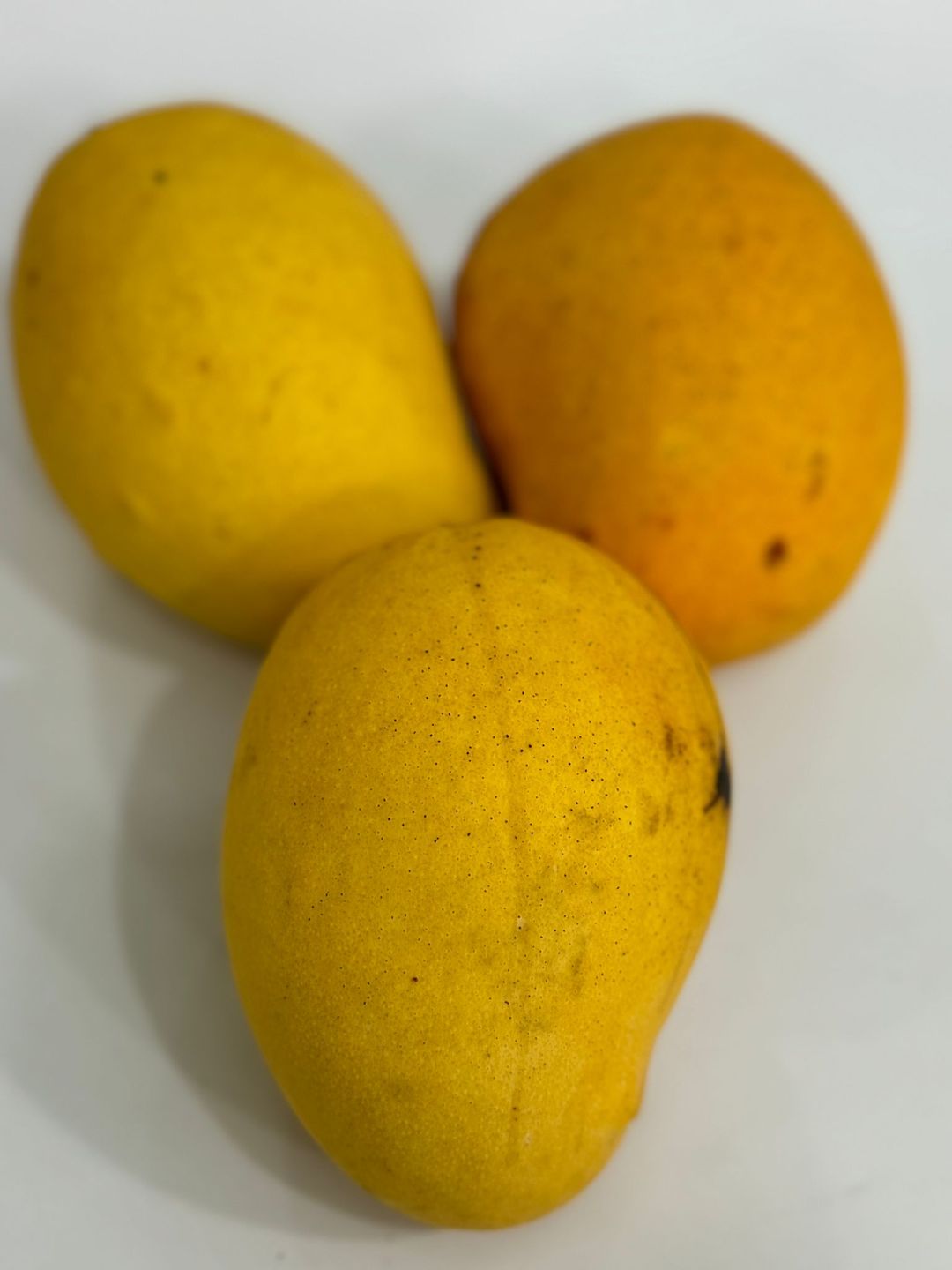 MYANMAR MANGO 