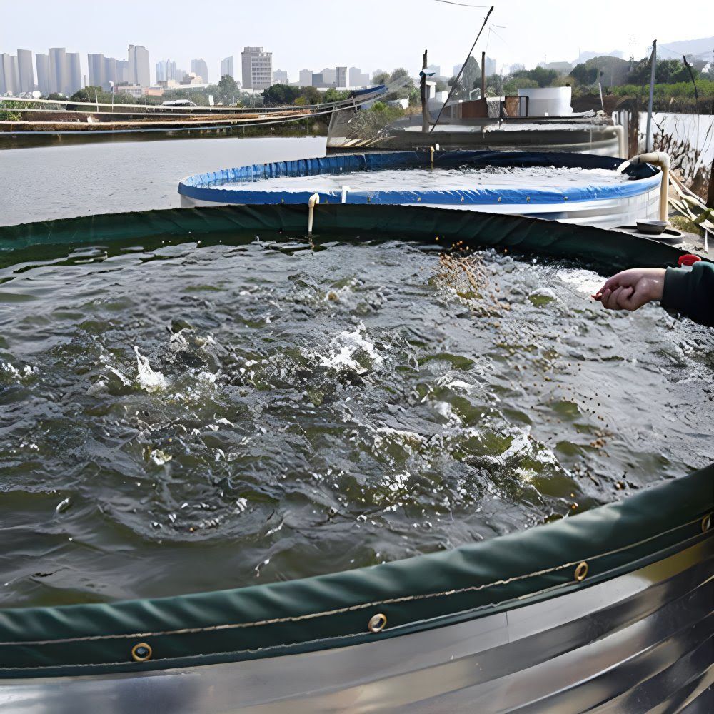 Large Portable Plastic Fish Containers Galvanized Steel Fish Farming Manufacturer