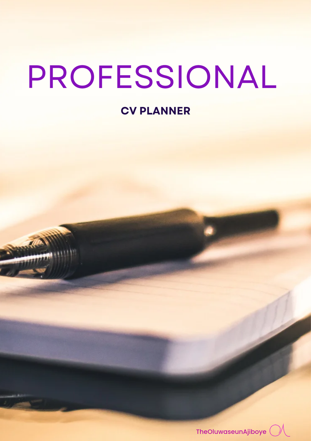 Professional CV Writing