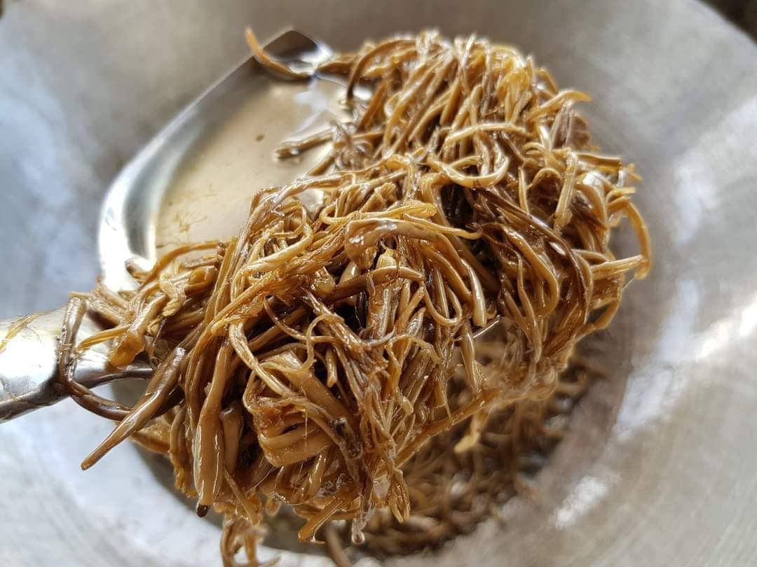 ပန်းခရေ Kitchen_သဘာ၀မှိုဆီကြော်