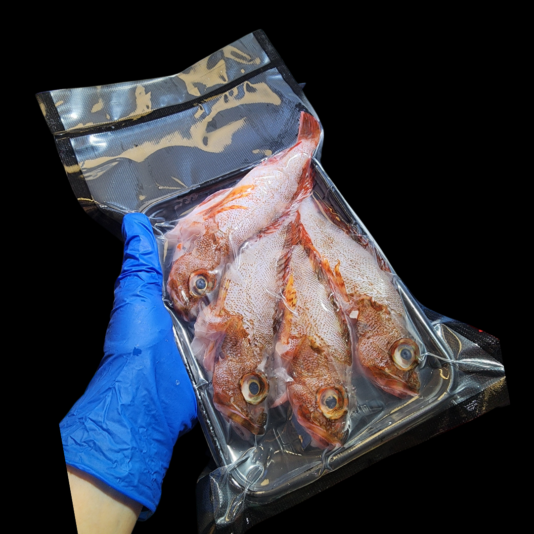本地釣口石九公(約10兩)🐟（3條裝）