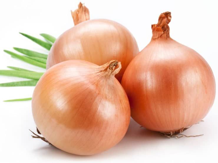 Onions  Reg.