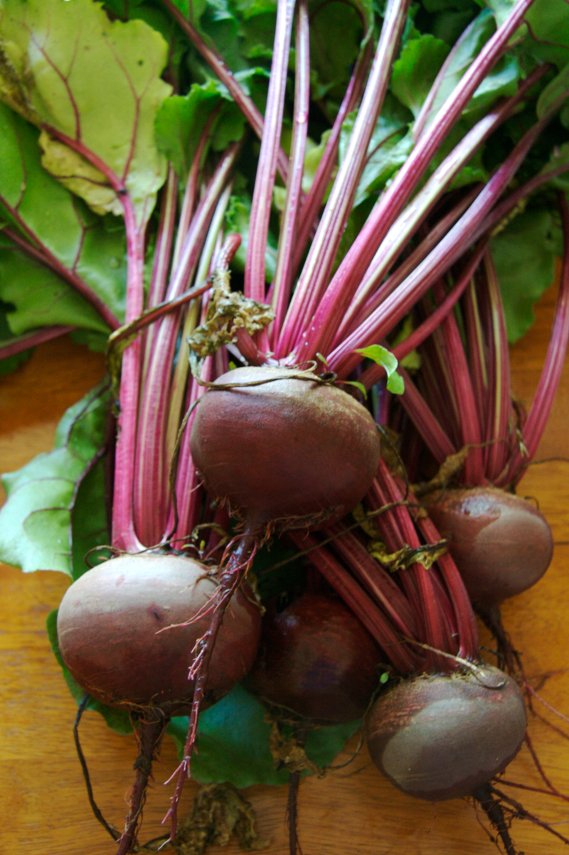 Beetroot 