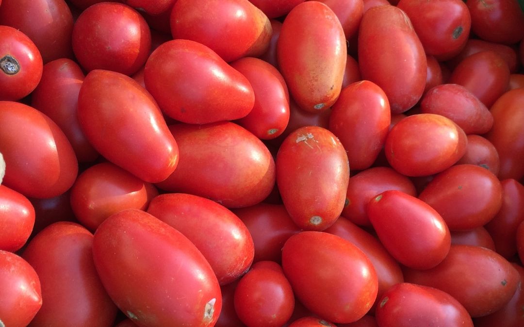 Foreign tomatoes 