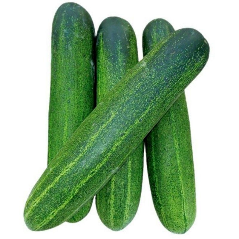 Cucumber 