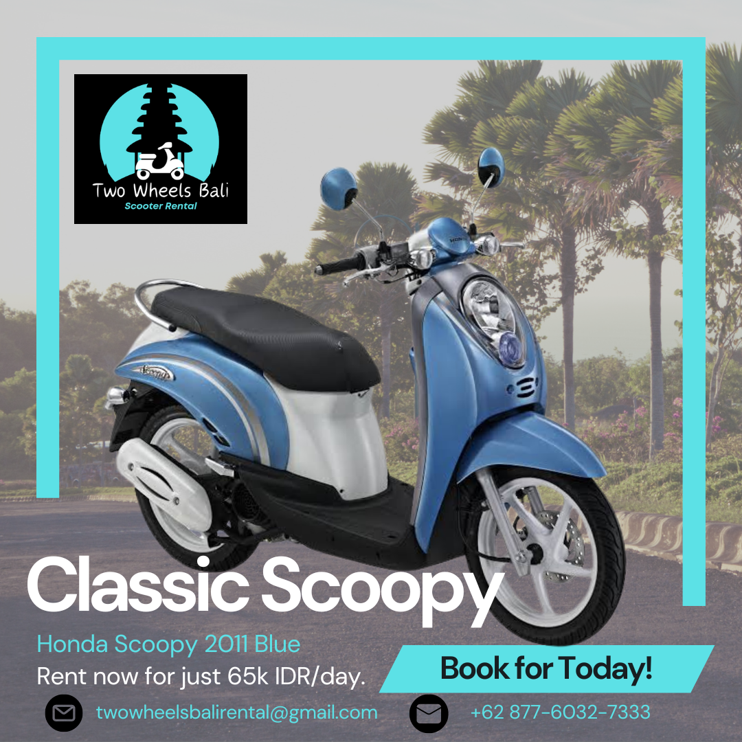 Scoopy 2011 Blue