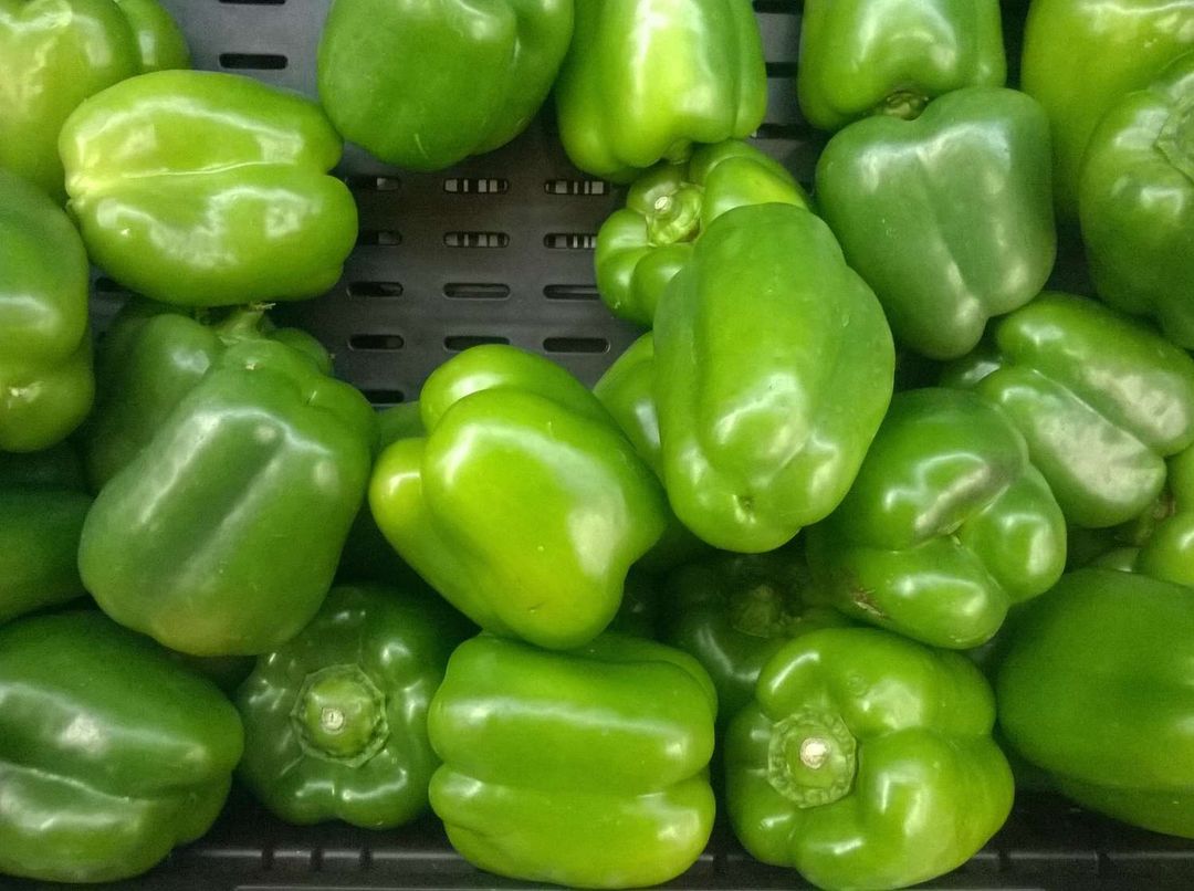 Green sweet peper 