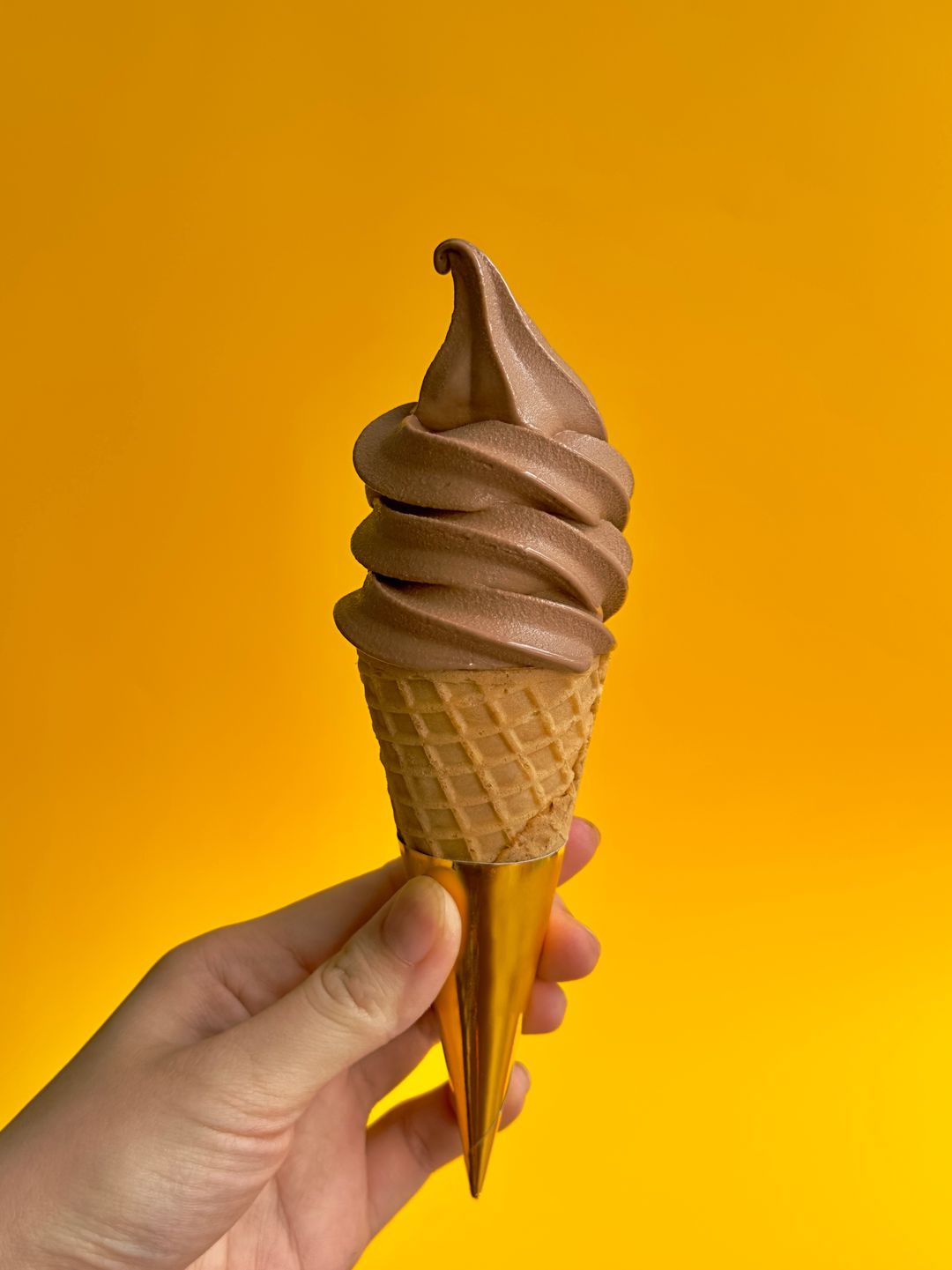 Choco Divine Ice Cream Cone