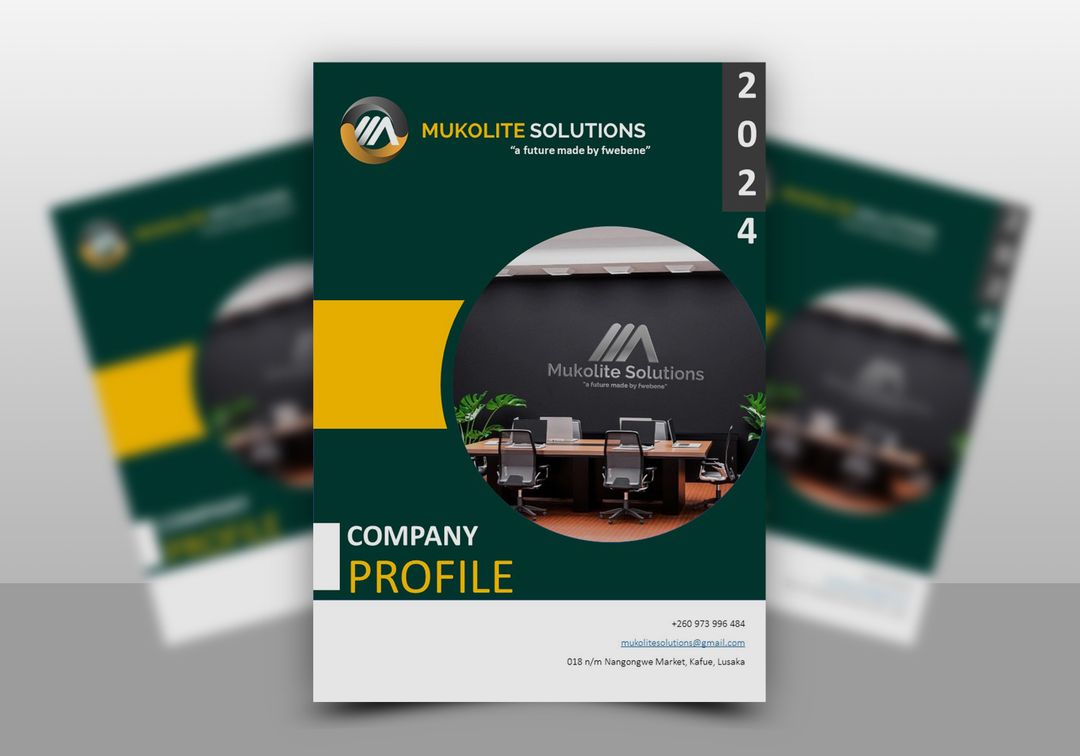 Company profile 