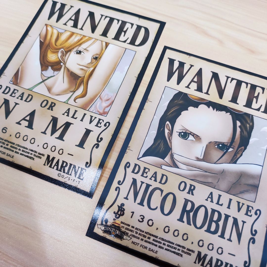One Piece Official Bromide Wanted Collection