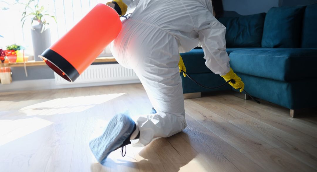 Fumigation Services