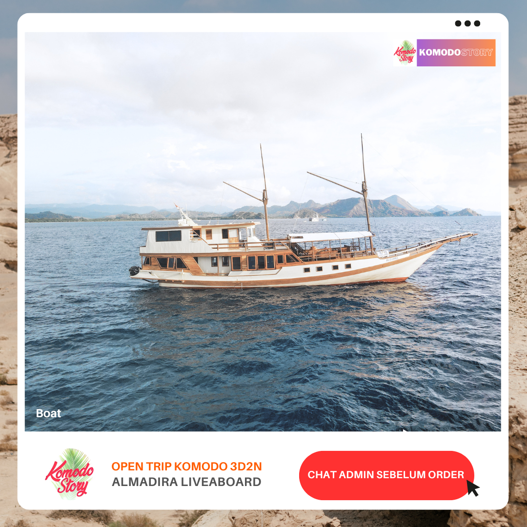 Open trip komodo 3D2N - Almadira Liveaboard