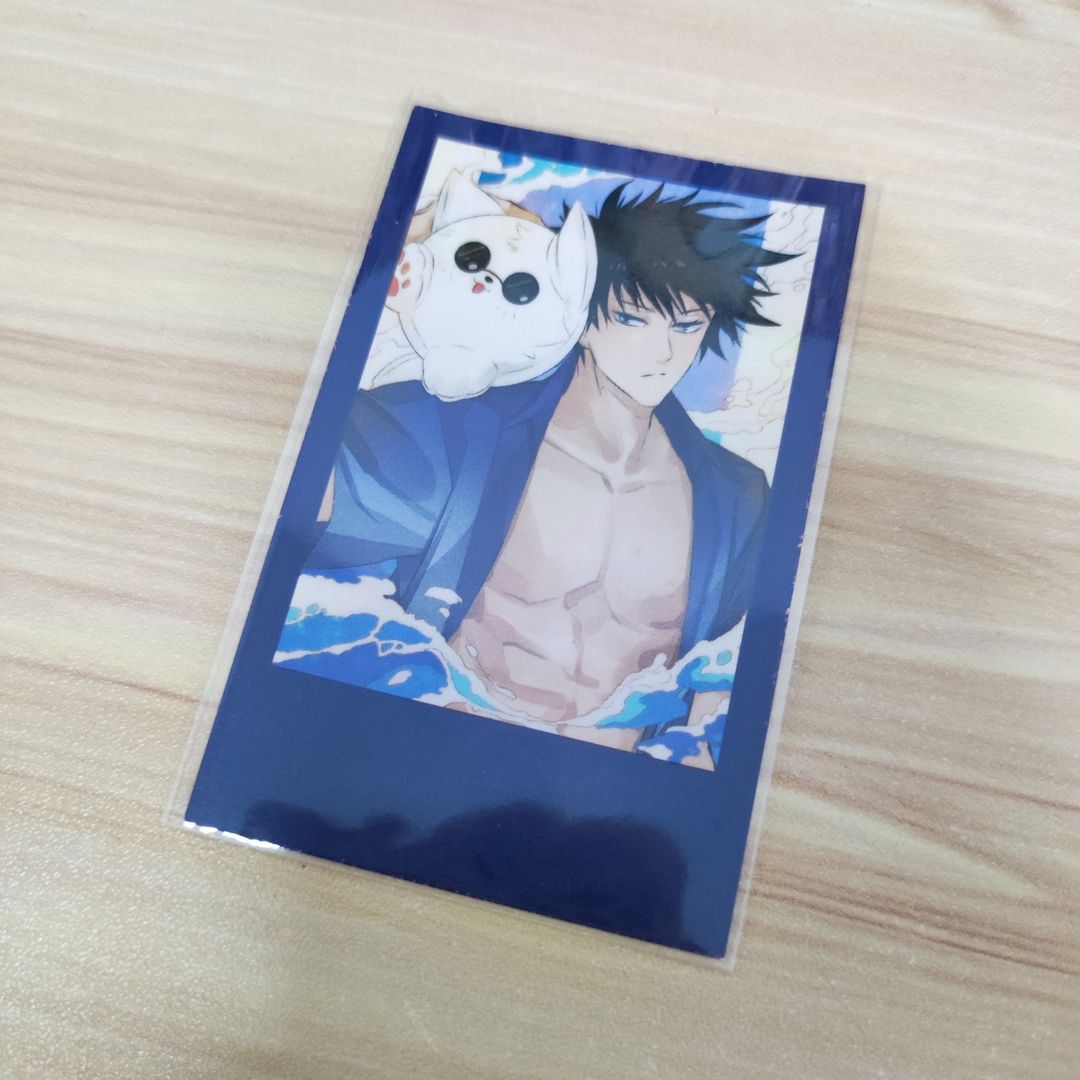 Jujutsu Kaisen Fanart Polaroid - Megumi