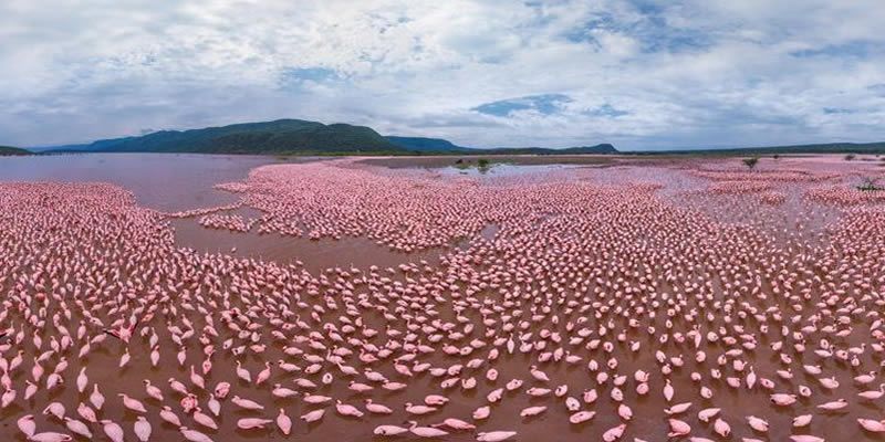 Lake Nakuru Day Trip