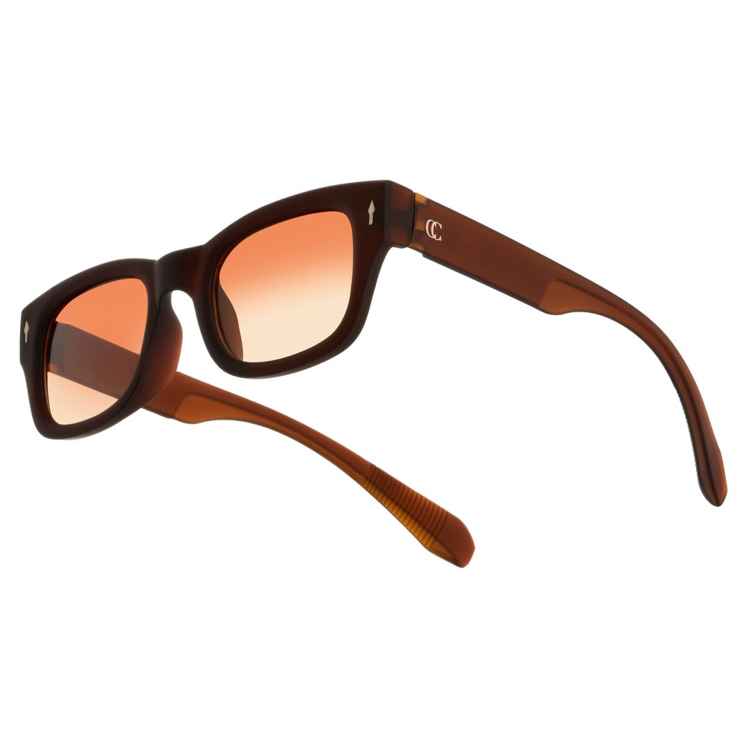 UNISEX CLASSIC WAYFARER IN BROWN COLOUR