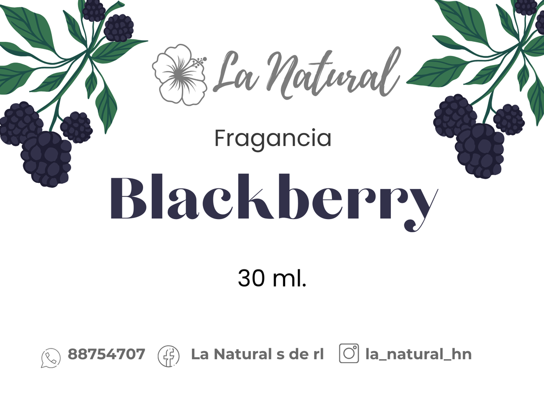 Blackberry Fragancia