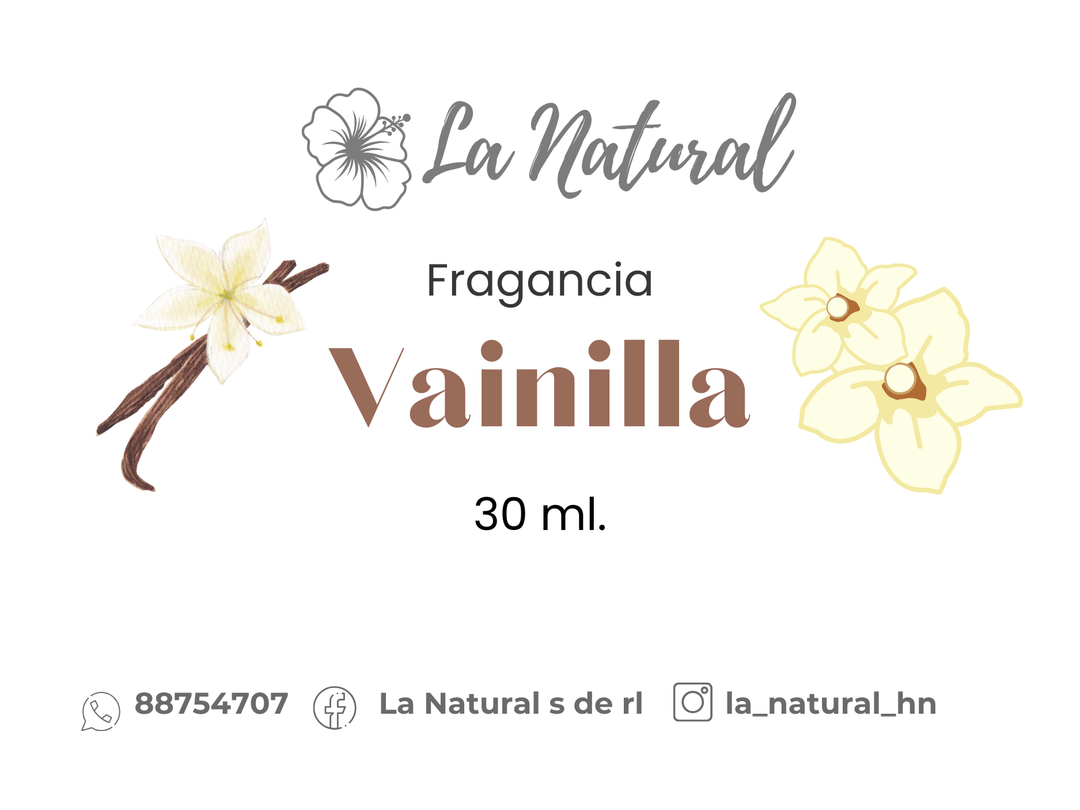 Vainilla Fragancia