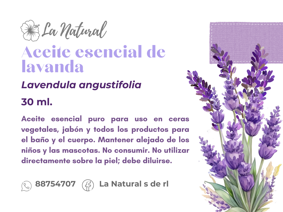 Lavanda Aceite Esencial