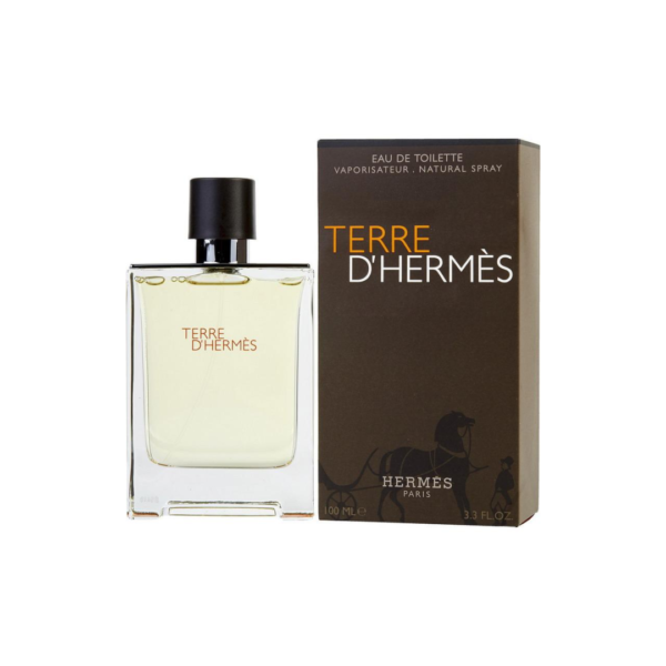 Terre D'Hermès Eau de Toilette 100ml