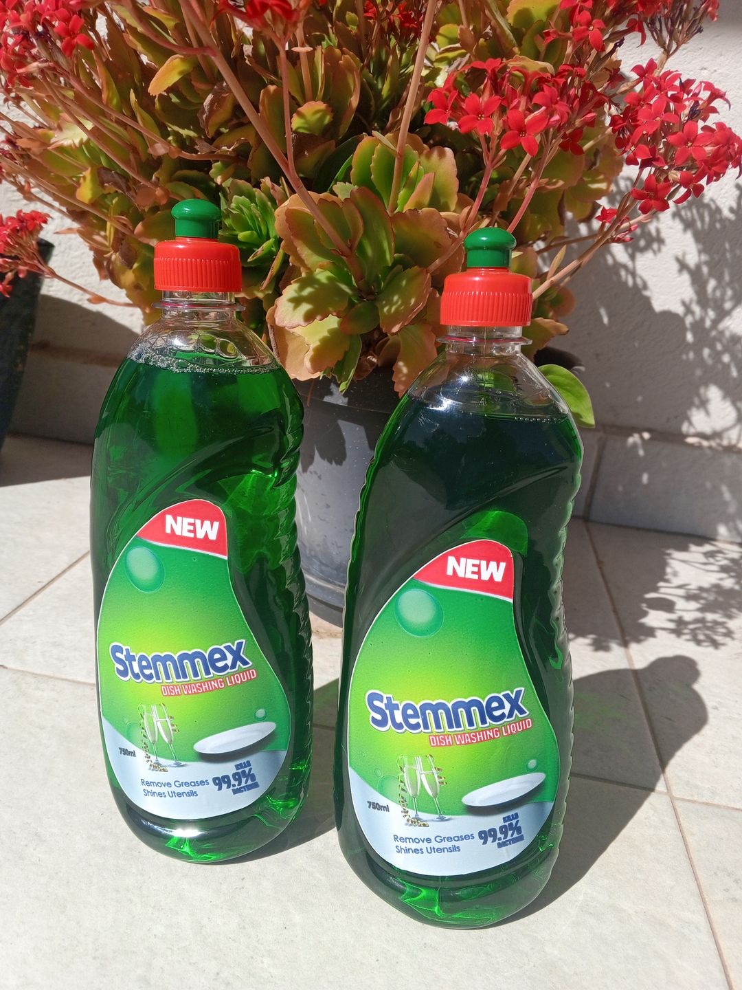 Stemmex Dishwashing liquid 