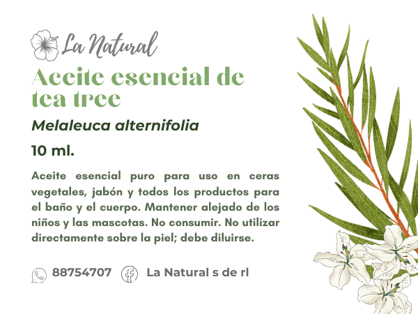 Tea tree aceite esencial