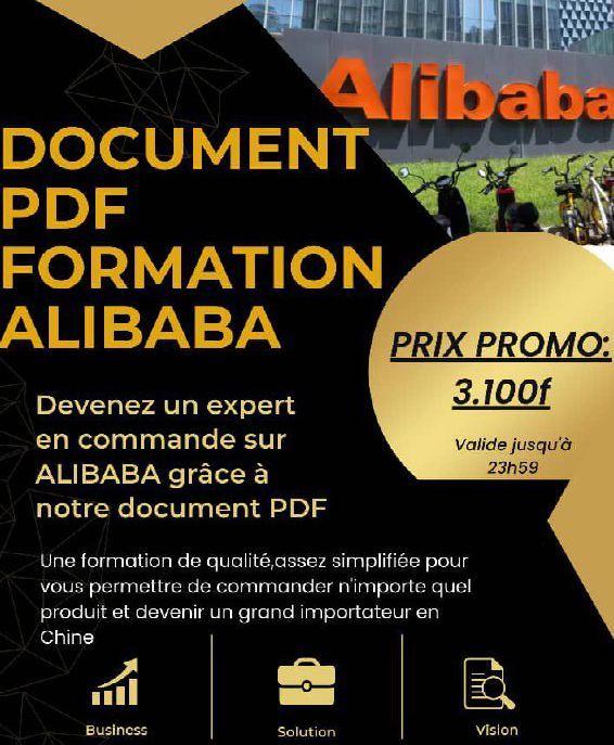 E-book : Formation Alibaba 