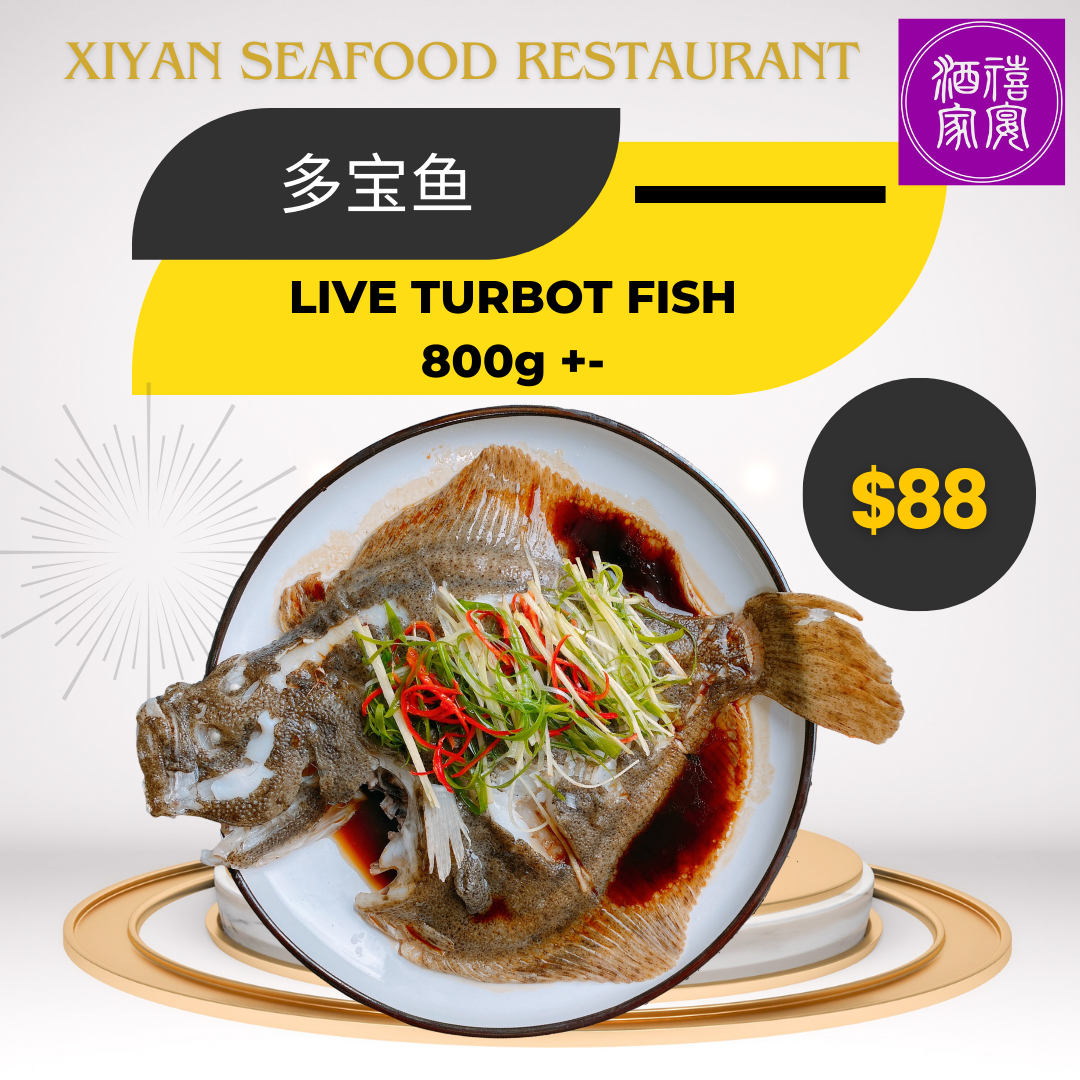 Live Turbot Fish ，游水多宝鱼 (800g+-)