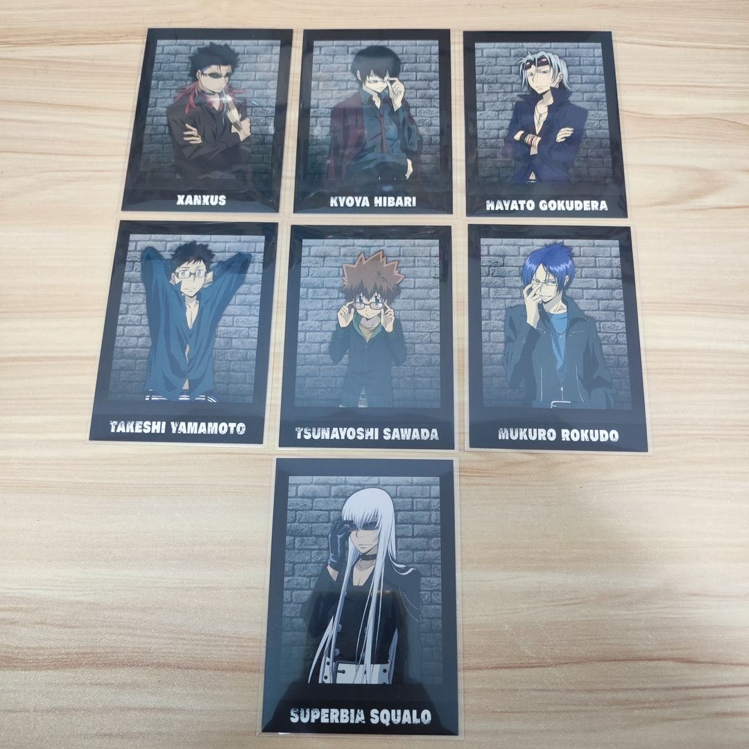 Katekyo Hitman Reborn Official Polaroid - Bricks