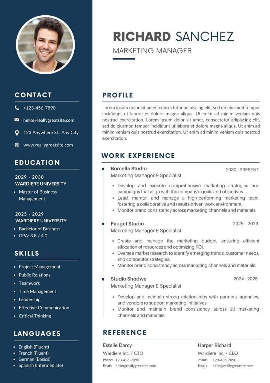 Professional CV