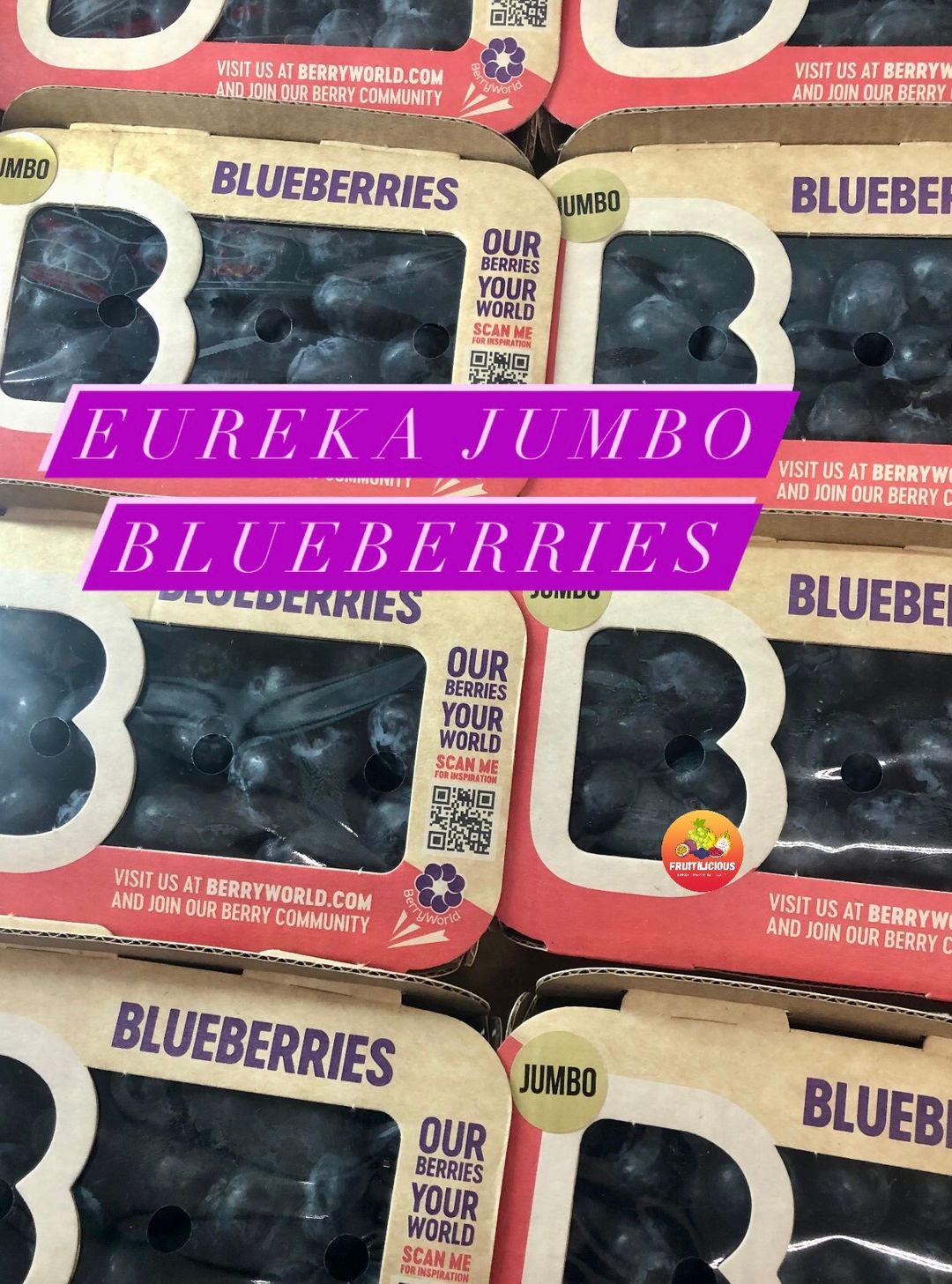 EUREKA JUMBO BLUEBERRIES 