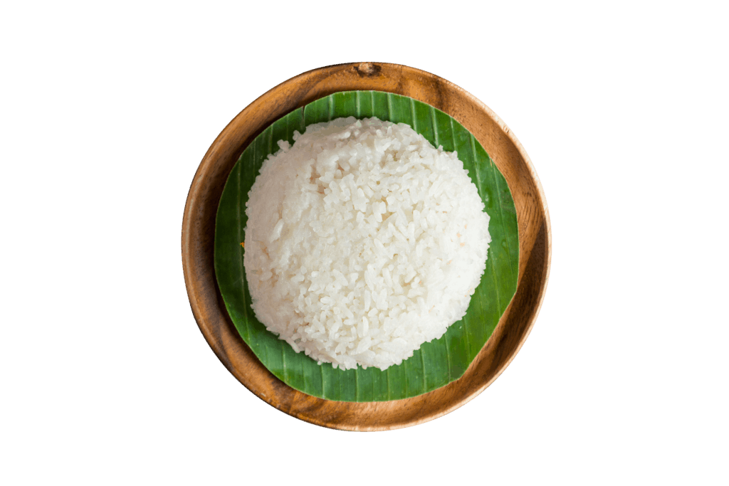 Nasi Putih