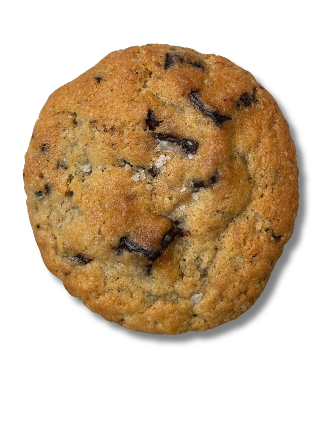 Chocolate Chip