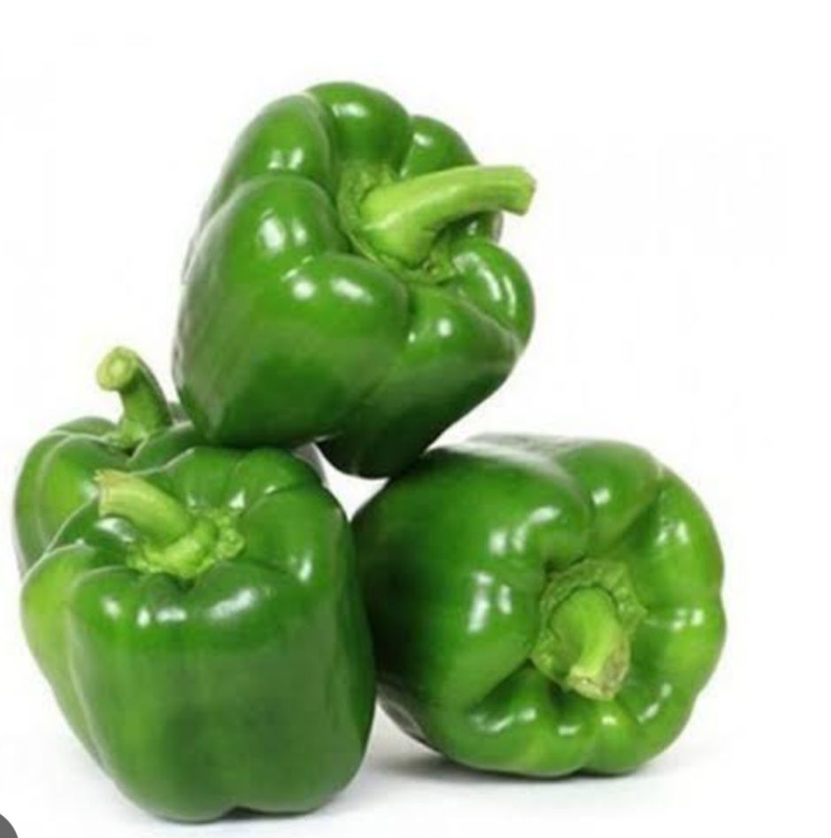 Capsicum