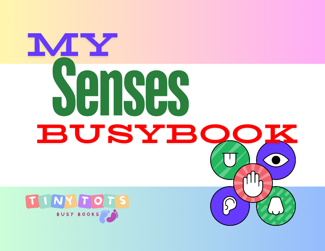 My Senses Busybook 