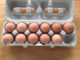 DOZEN EGGS