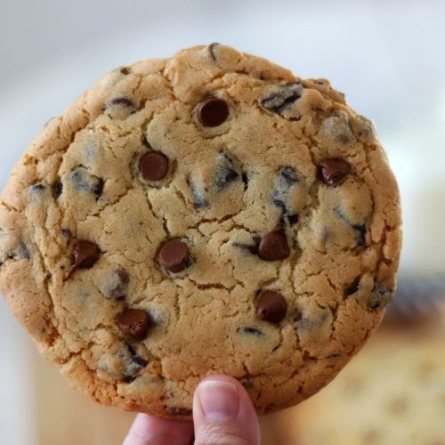 Jumbo Choc Chip Cookies