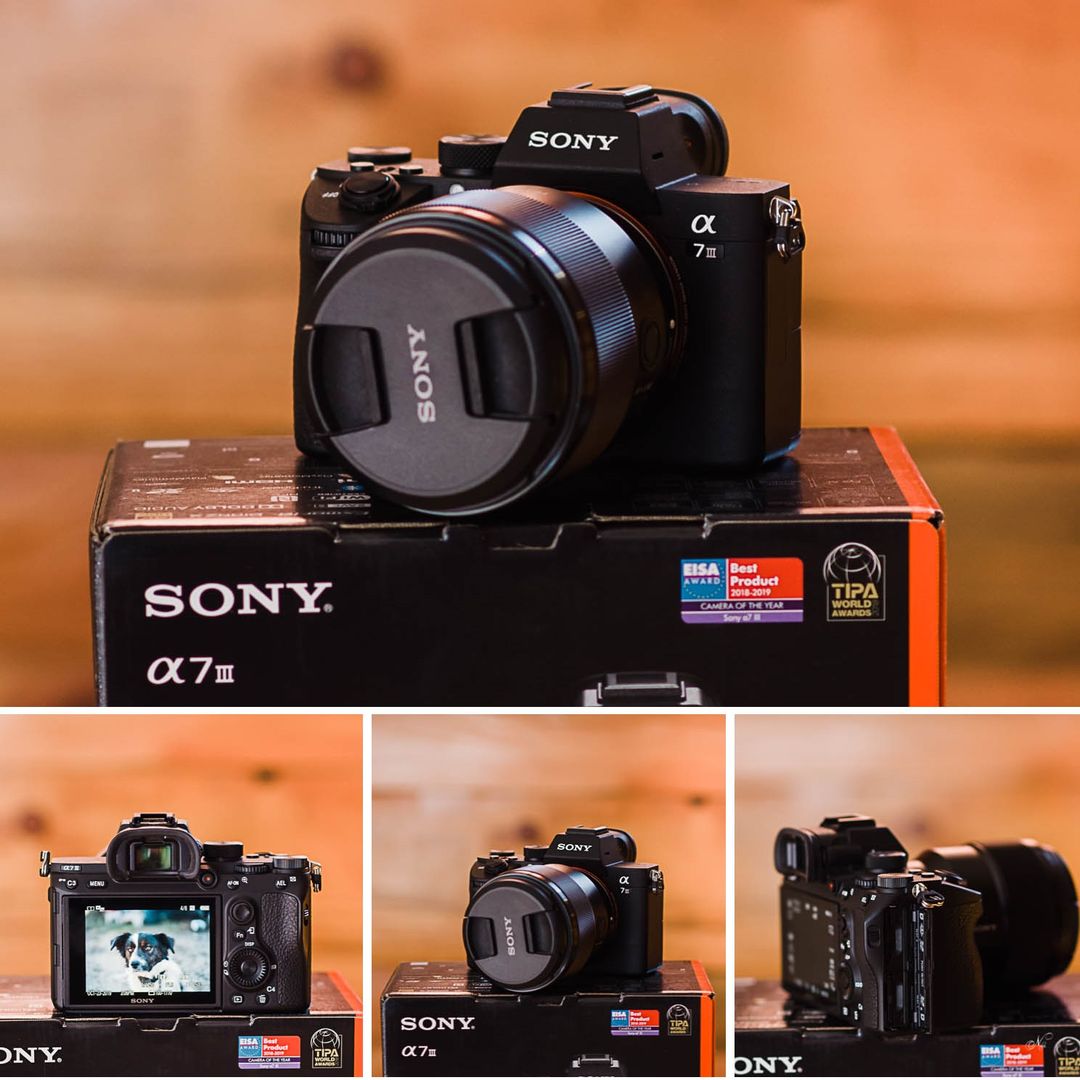 Sony A73