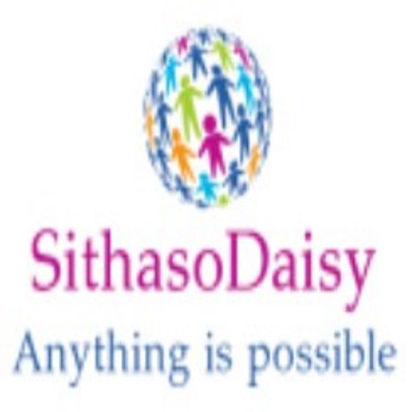 SithasoDaisy B4xLib