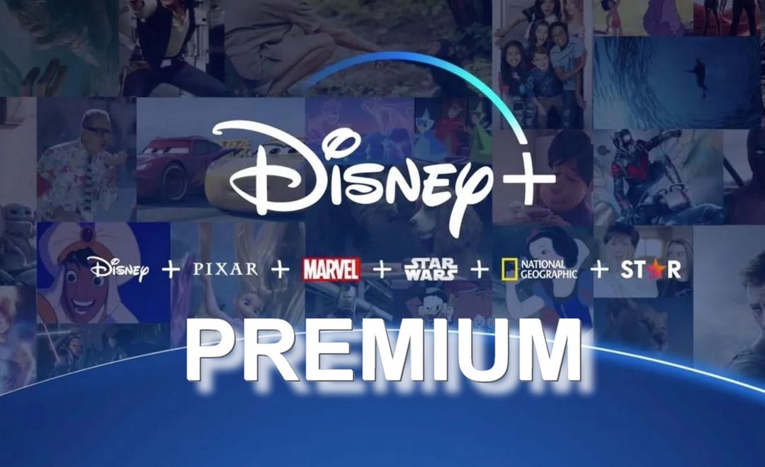 Disney premium perfil