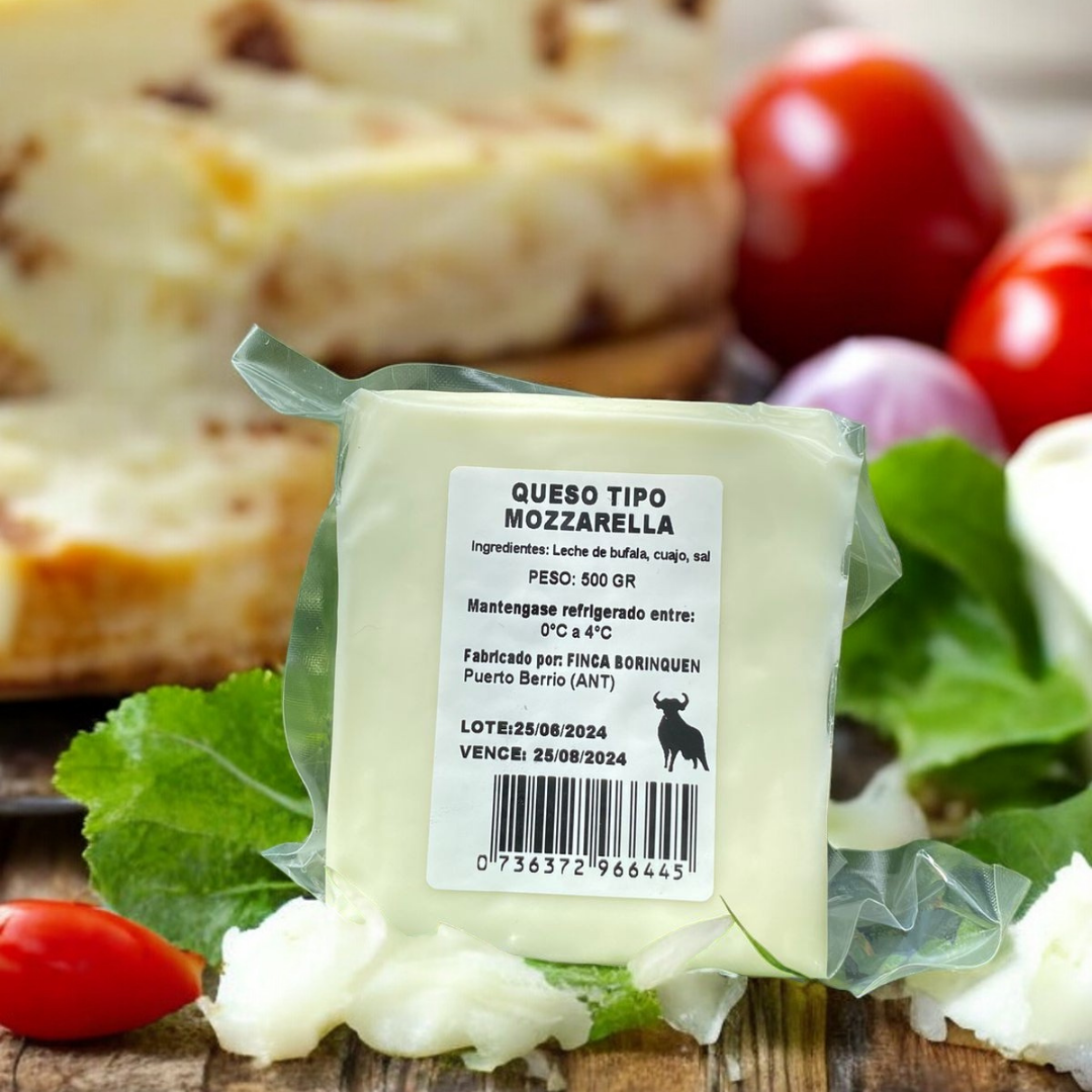 Queso Mozzarella de 100 % Búfala x 500 gr. (Bloque)