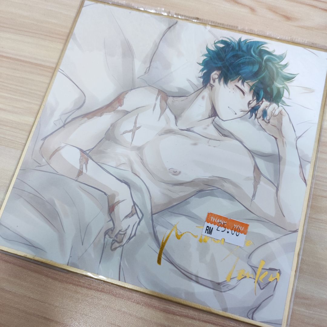My Hero Academia Fanart Shikishi - Midoriya
