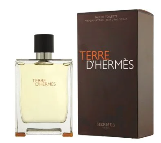 Terre D’Hermes EDT 100ml (Men)