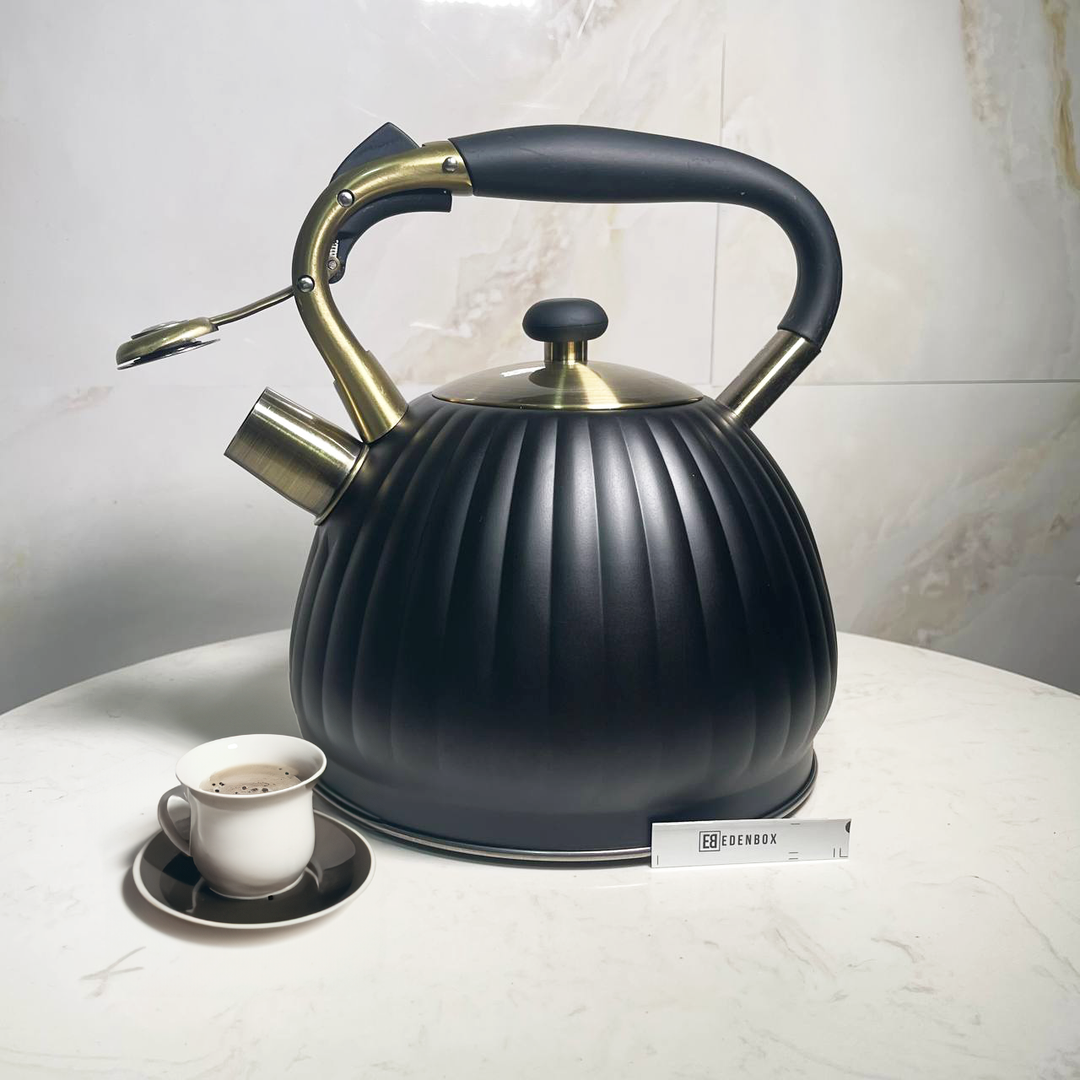 (MB41) HAIDER KETTLE 3.5L PUMPKIN BLACK