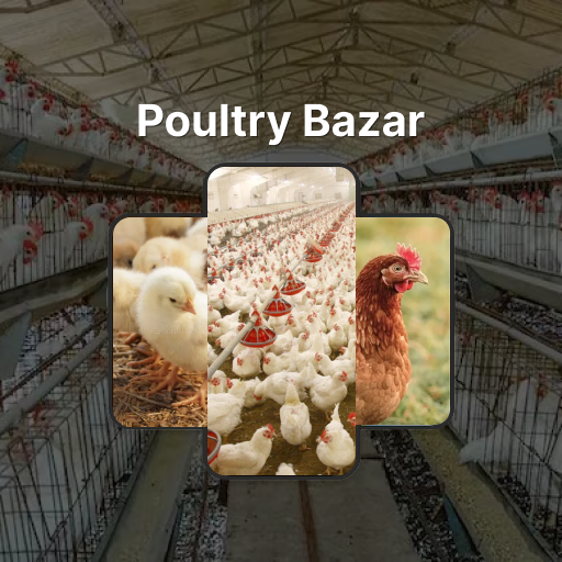 Poultry Bazar