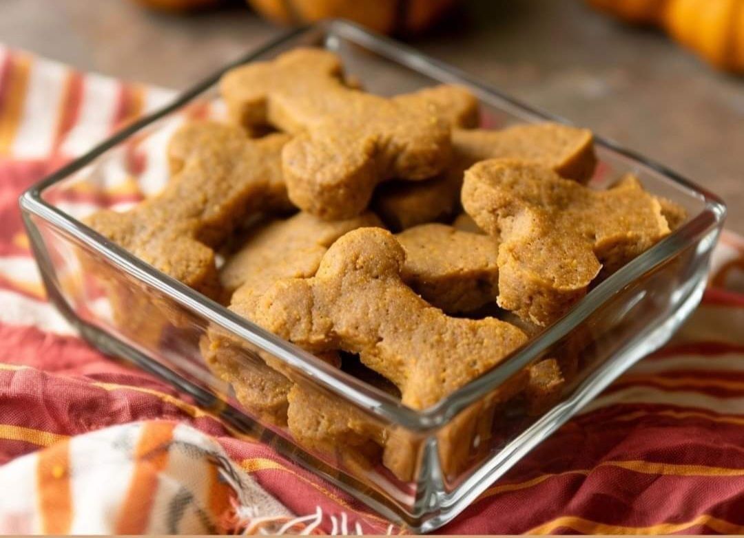 PUMPKIN &HONEY DOG TREAT'S 