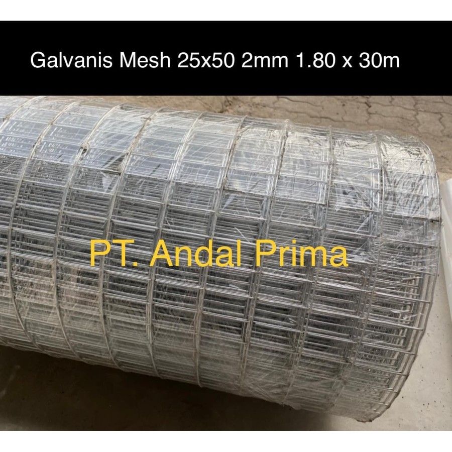 Galvanish Mesh 25x50