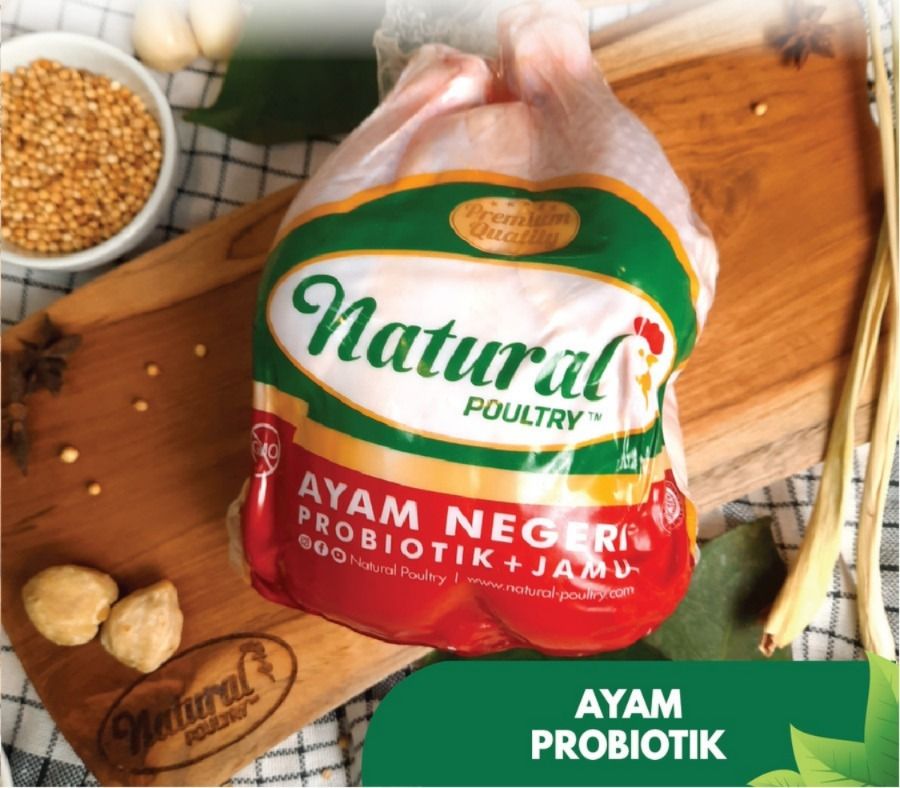 Ayam Negri Organik Probiotik 