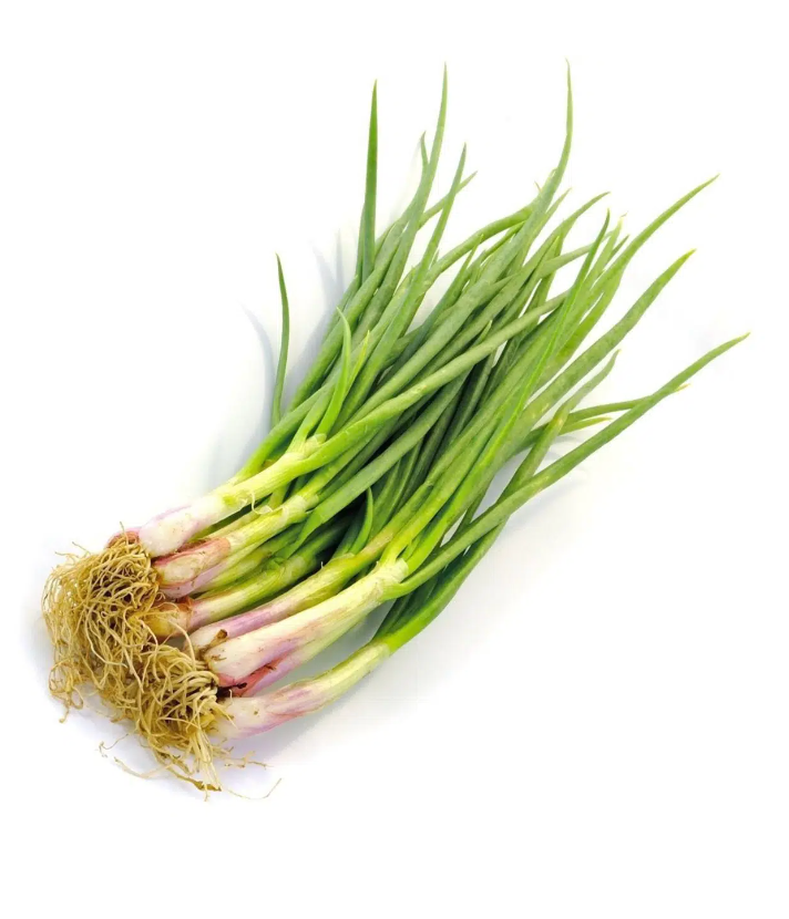 NTH Spring Onion 100g