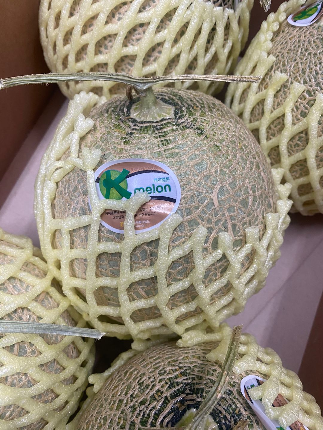 Korea Muskmelon