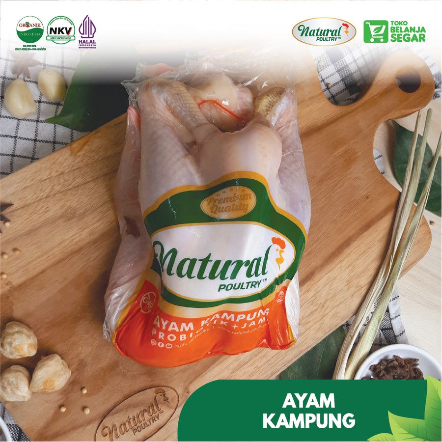 Ayam Kampung Probiotik Organik S 600-700gr